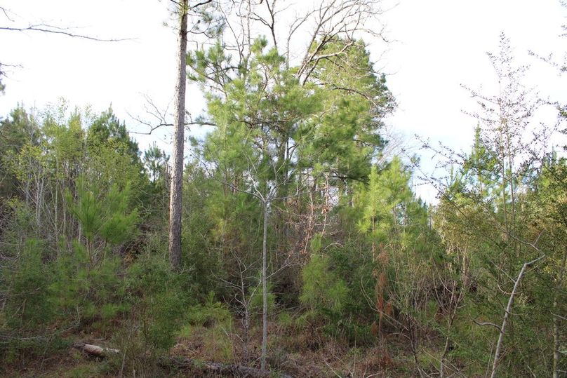 27D6E614-587B-4505-9EC7-C2ECAB09D3FF_1_105_c