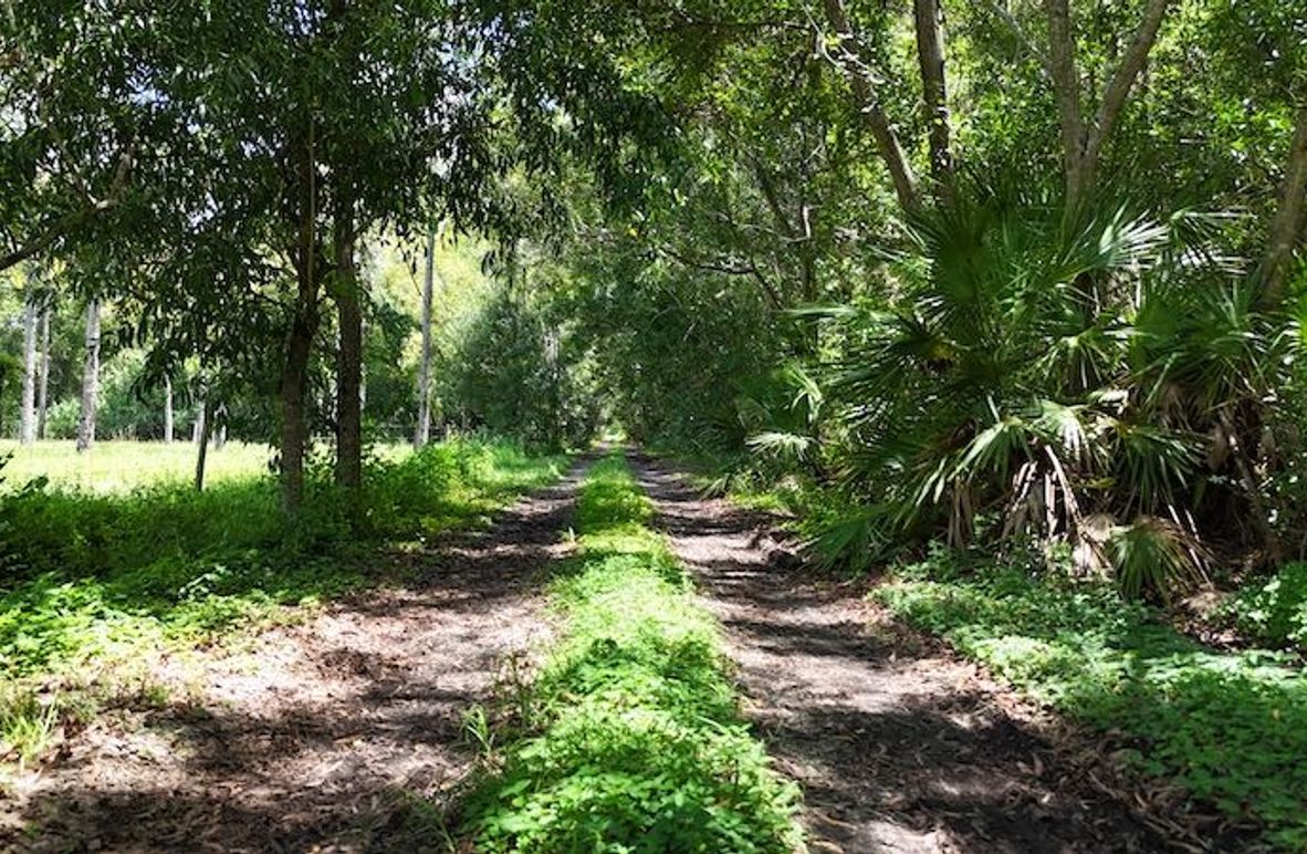 DJI_20250819132813_0003_D