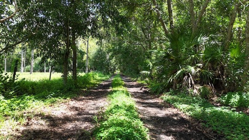 DJI_20250819132813_0003_D