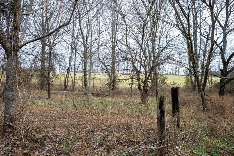 Copy of DSC00763 Large