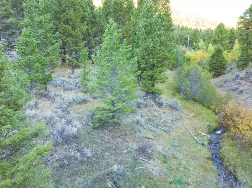 20240925-DJI_0125