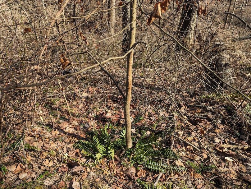 PXL_20240223_162718238