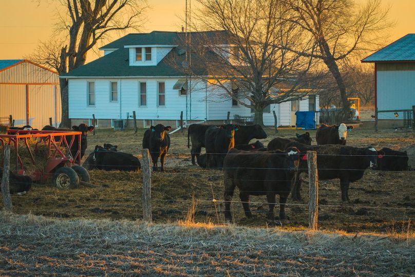 DJI_20260227065917_0019_D