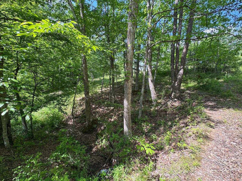 Calhoun, WV 29 AC Minney-19