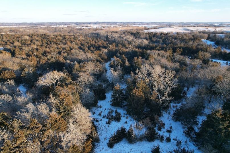 DJI_0481