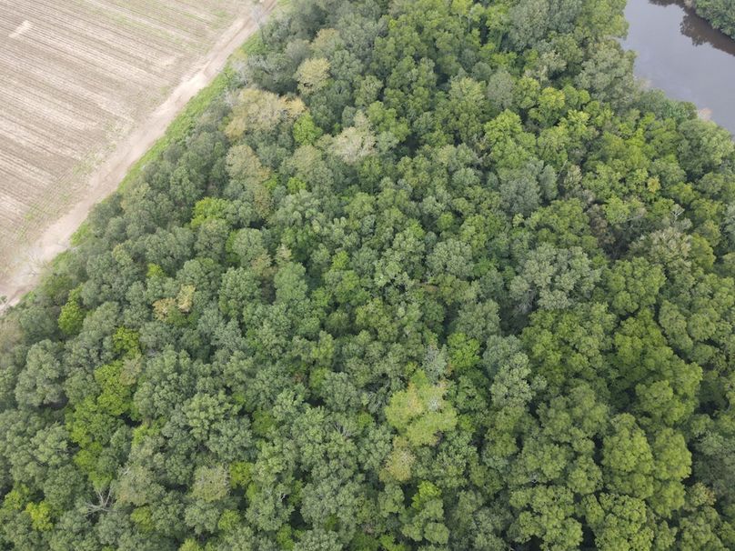 9798517D-858F-4951-9FB3-529581861453_1_105_c