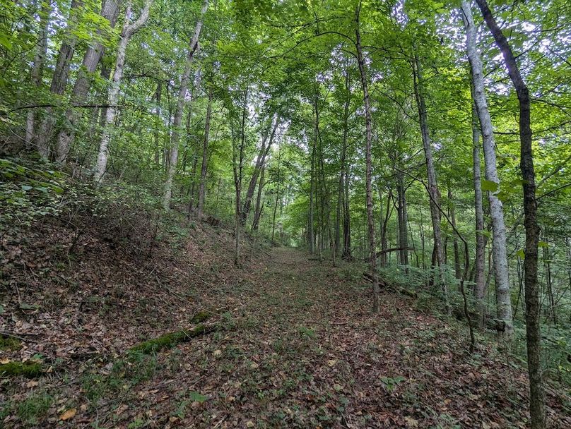 PXL_20240819_152215085.MP