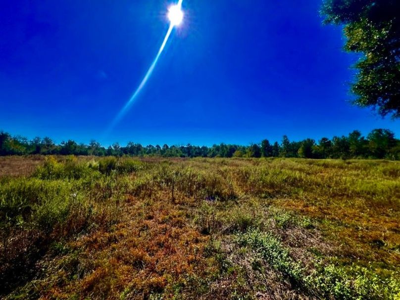 EE028C31-D841-4834-BFD1-461877E17999_1_105_c