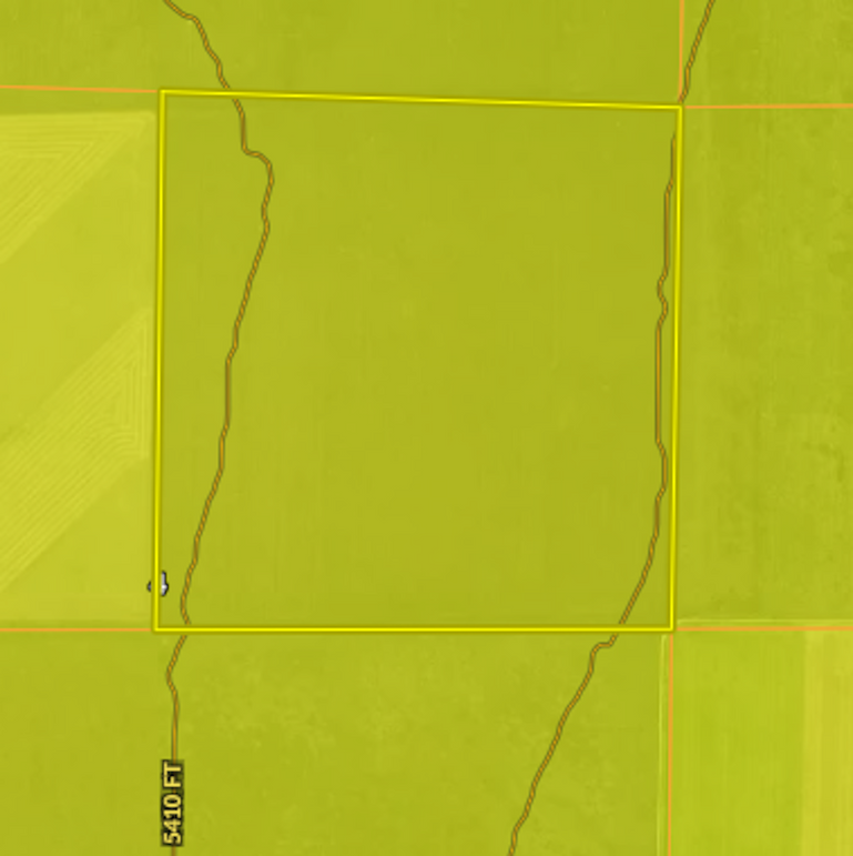 SOILS - RICHARD WHITED