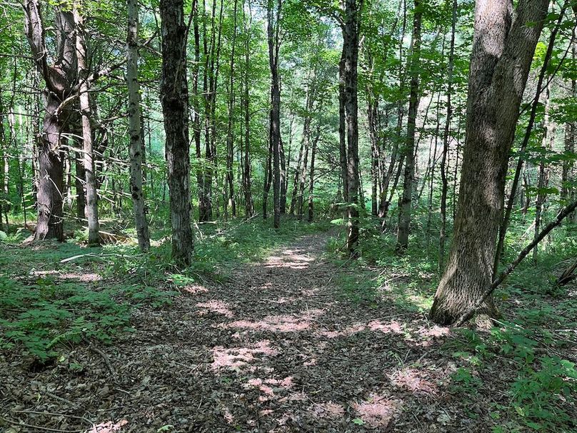 Oswego_24_Frank Photo 30