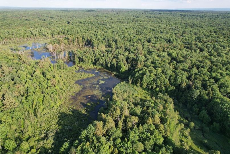 Jefferson_260.3_ Lobach_Photos_60