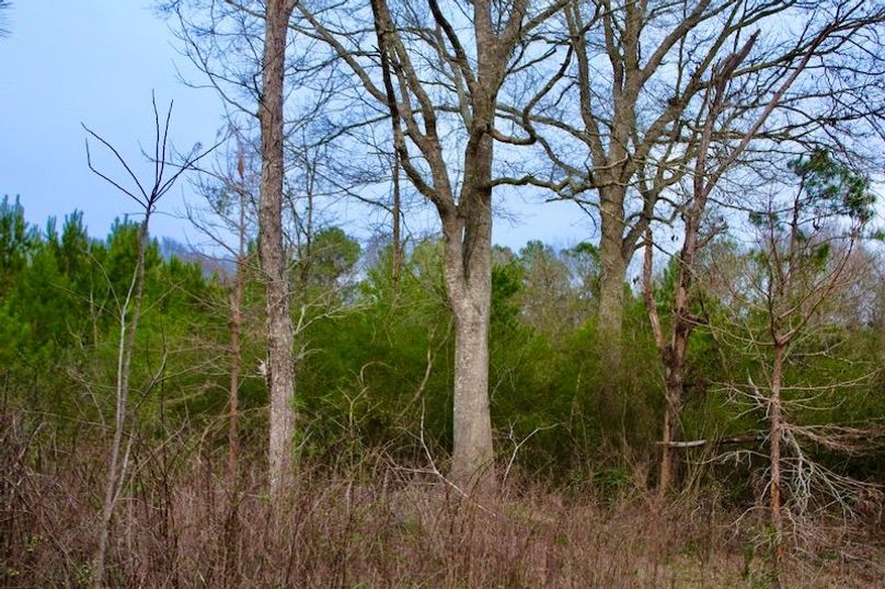 77BC83A7-C00F-4F60-8845-97F701464C11_1_105_c