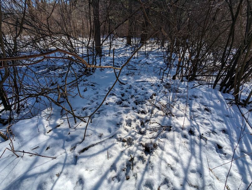 PXL_20230202_164213011