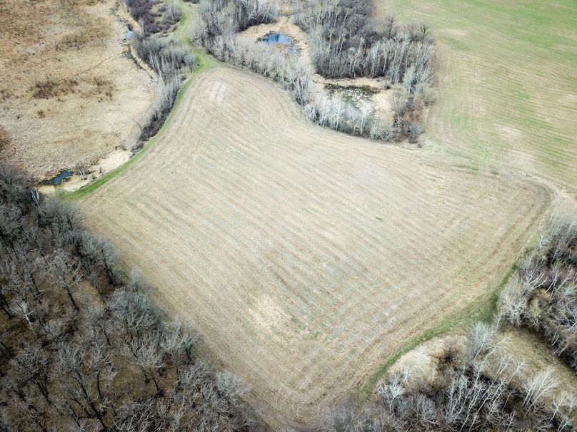 DJI_0029