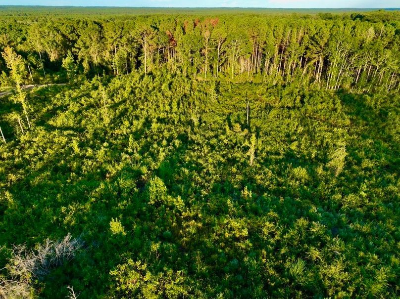 D1D2AFAF-E5B8-421D-8F0F-6321E573A7B2_1_105_c-2