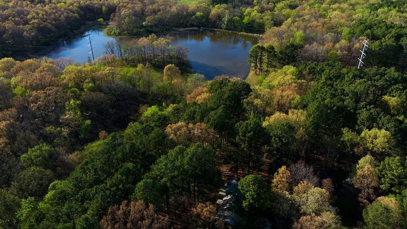 WILLIAMSON, IL 65.00_10_18_04.Still039