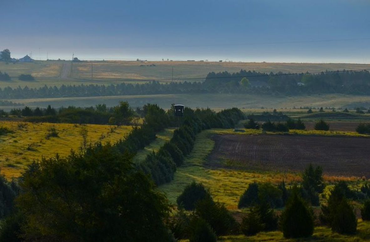 COVER PICTURE FOR LISTING 