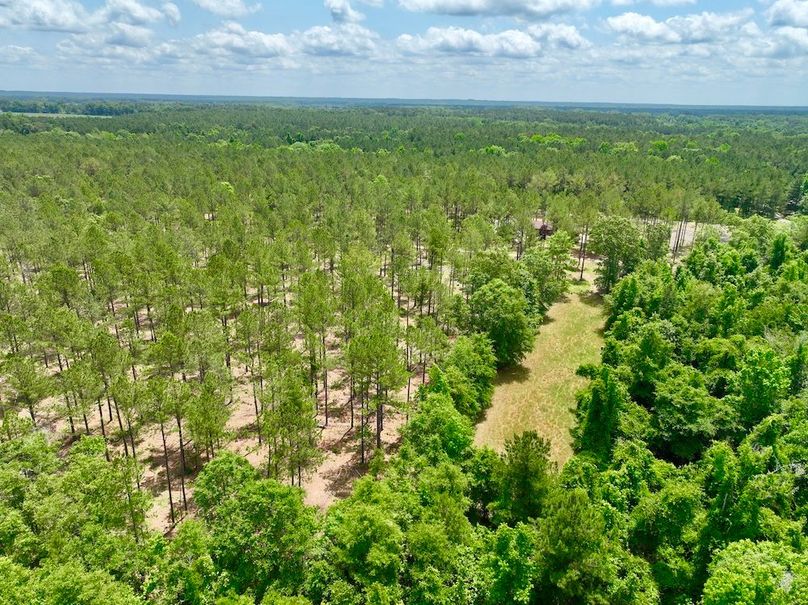 dji_fly_20240508_125524_293_1715187589343_photo