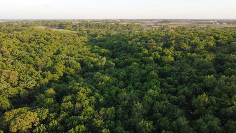 PAGE CO IA 130+_-_66