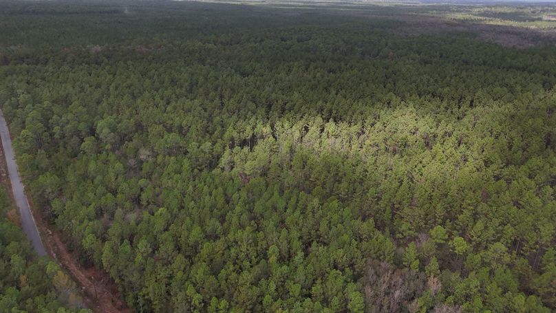 DJI_20231026123723_0035_D