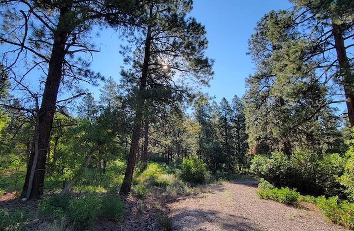 Copy of 20210827_085952