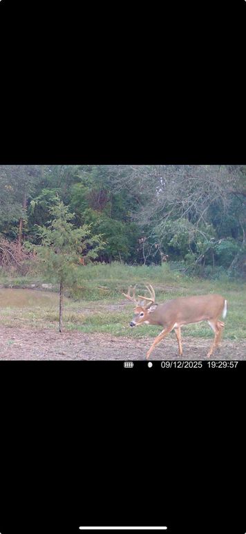 Screenshot 2025-12-01 at 6.11.12 PM