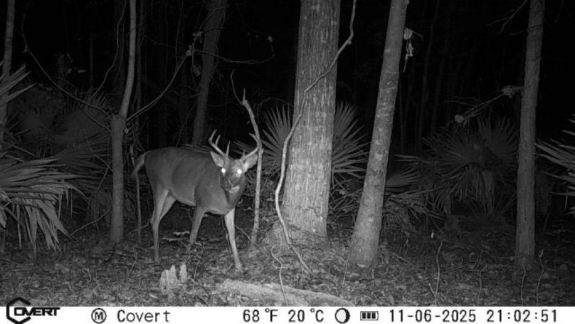 JPEG image-401B-A816-09-0-2