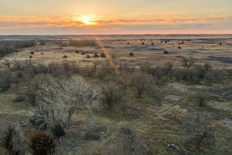 DJI_20260311081539_0518_D