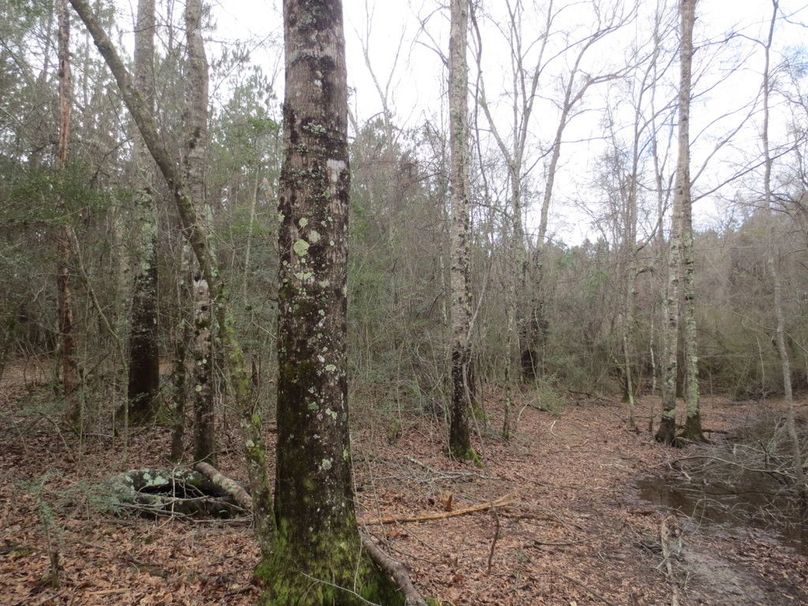 447A4212-627A-4EC3-BF78-AFDF36A0EE4B_1_105_c