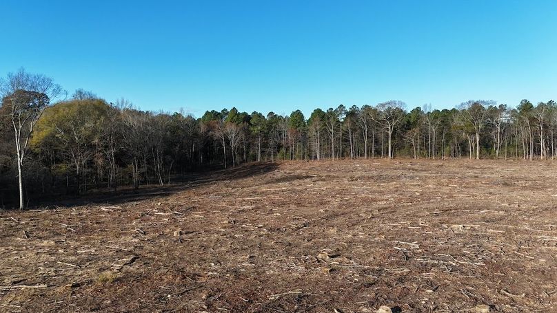 dji_fly_20251114_083708_0002_1763127630309_photo