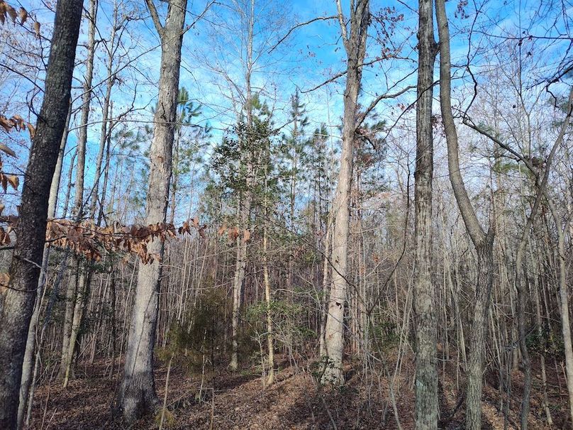 IMG_20260123_150715990