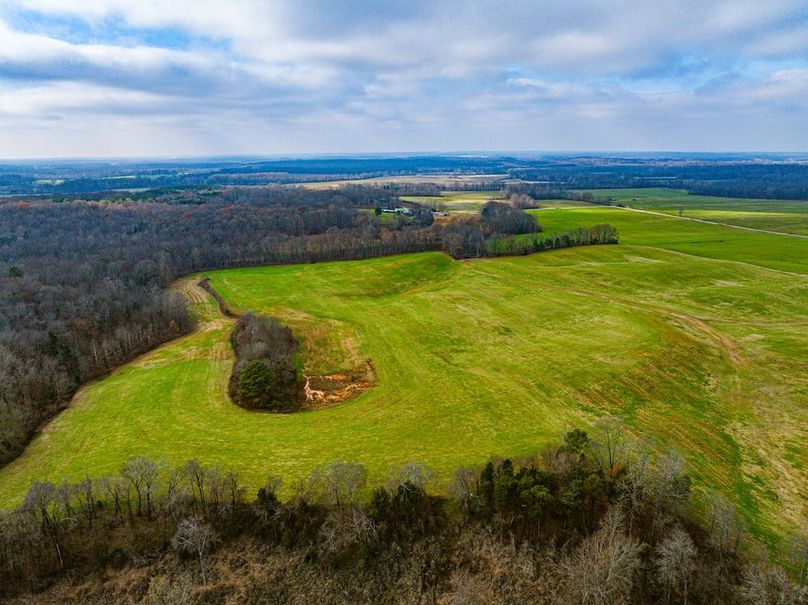 Henry 137 Miller-08-2