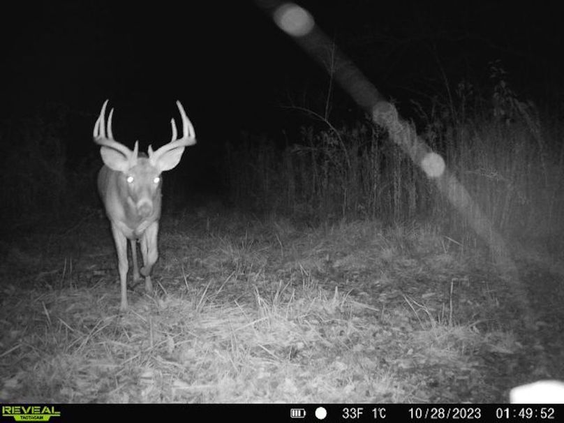 860322065128164-1-3-10282023014952-V-W1004552