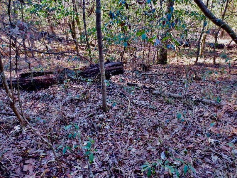 BC61D474-6D8E-4935-945C-709DC0269252_1_105_c