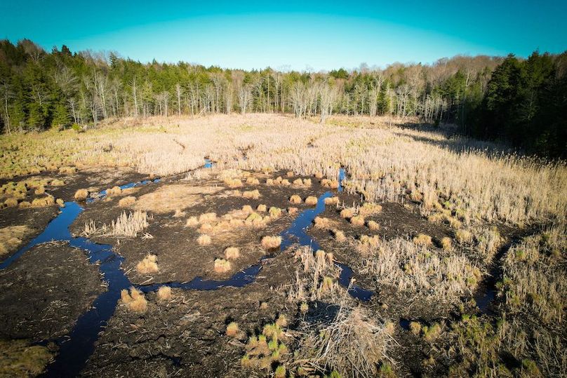 Oswego_17.88_Feld_Photos_63