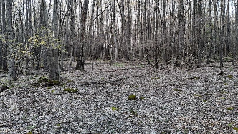 DJI_20260423190533_0292_D