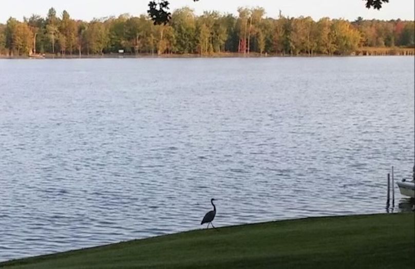 Screenshot_20230912_181520_Photos