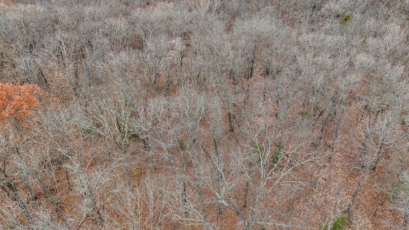 Copy of DJI_20251129133950_0032_D