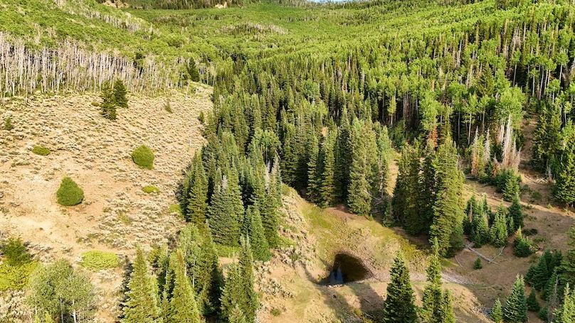 DJI_20250726182407_0178_D