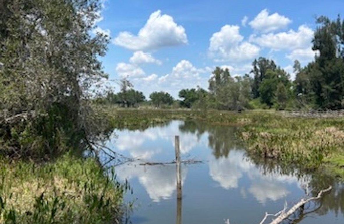 68D1DAA4-959A-41B8-833B-576038D83AC9_4_5005_c