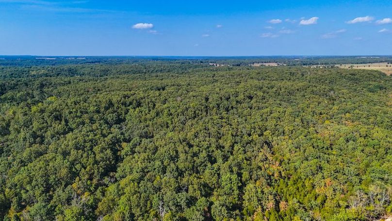 DJI_20250905042744_0078_D