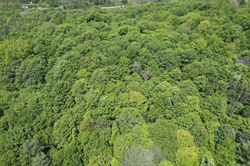 Tioga_78_Biada_Photos_7