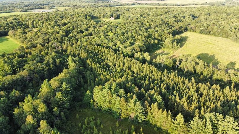 dji_fly_20240811_190846_741_1723421361761_photo_optimized