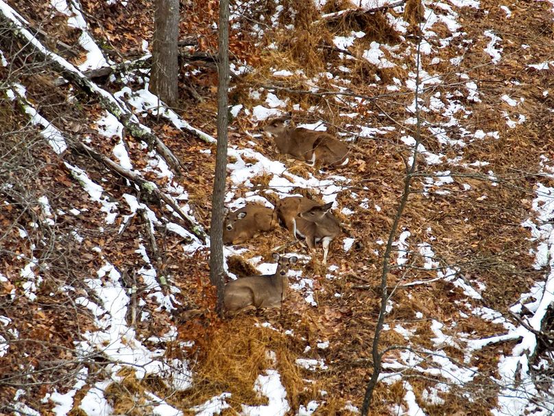 26-DJI_20251208165510_0004_Z