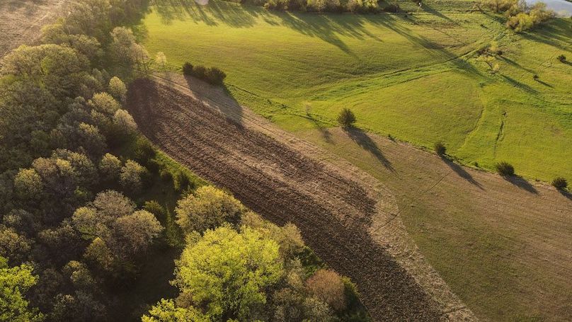 MONTGOMERY CO IA. 156.78_81