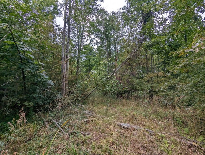 PXL_20230925_225358981