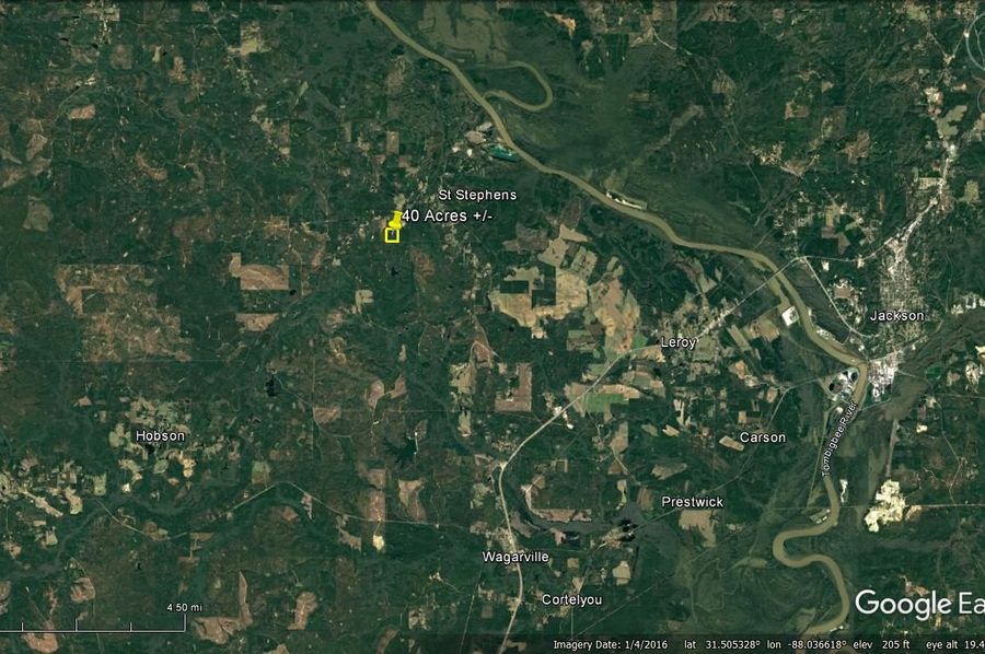 Aerial #6 Approx. 40 Acres Washington County, AL