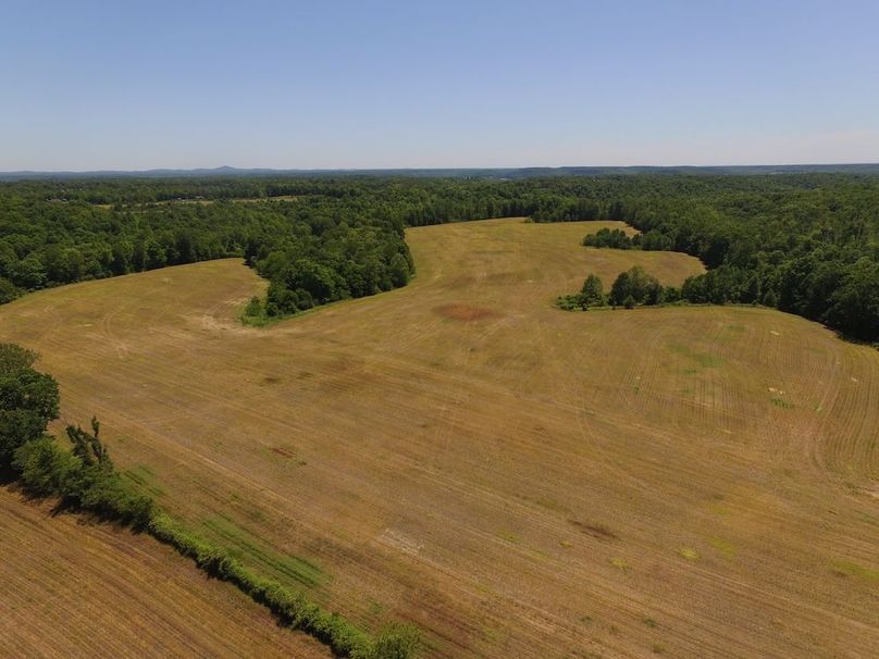 DJI_0006