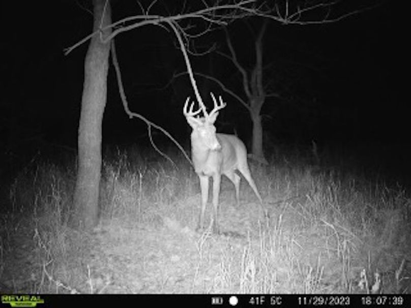 ce918618-4f0f-4637-ba9e-e2744d6fe4bd