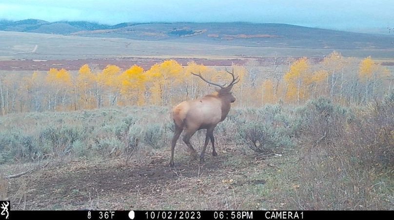 IMG_0020 (3) - frame at 0m4s